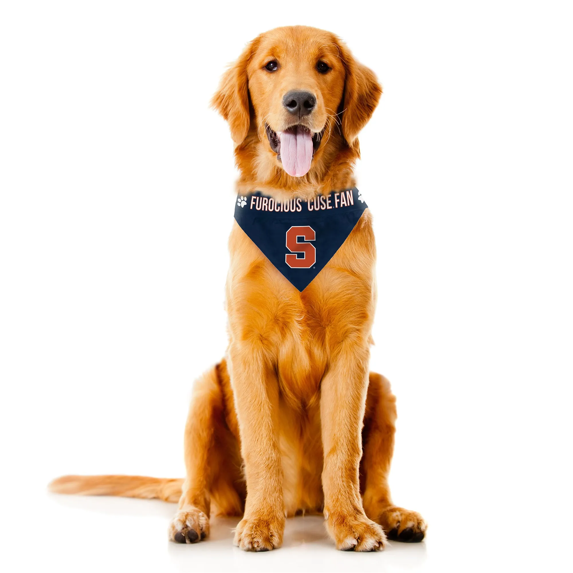 Syracuse University Pet Bandana