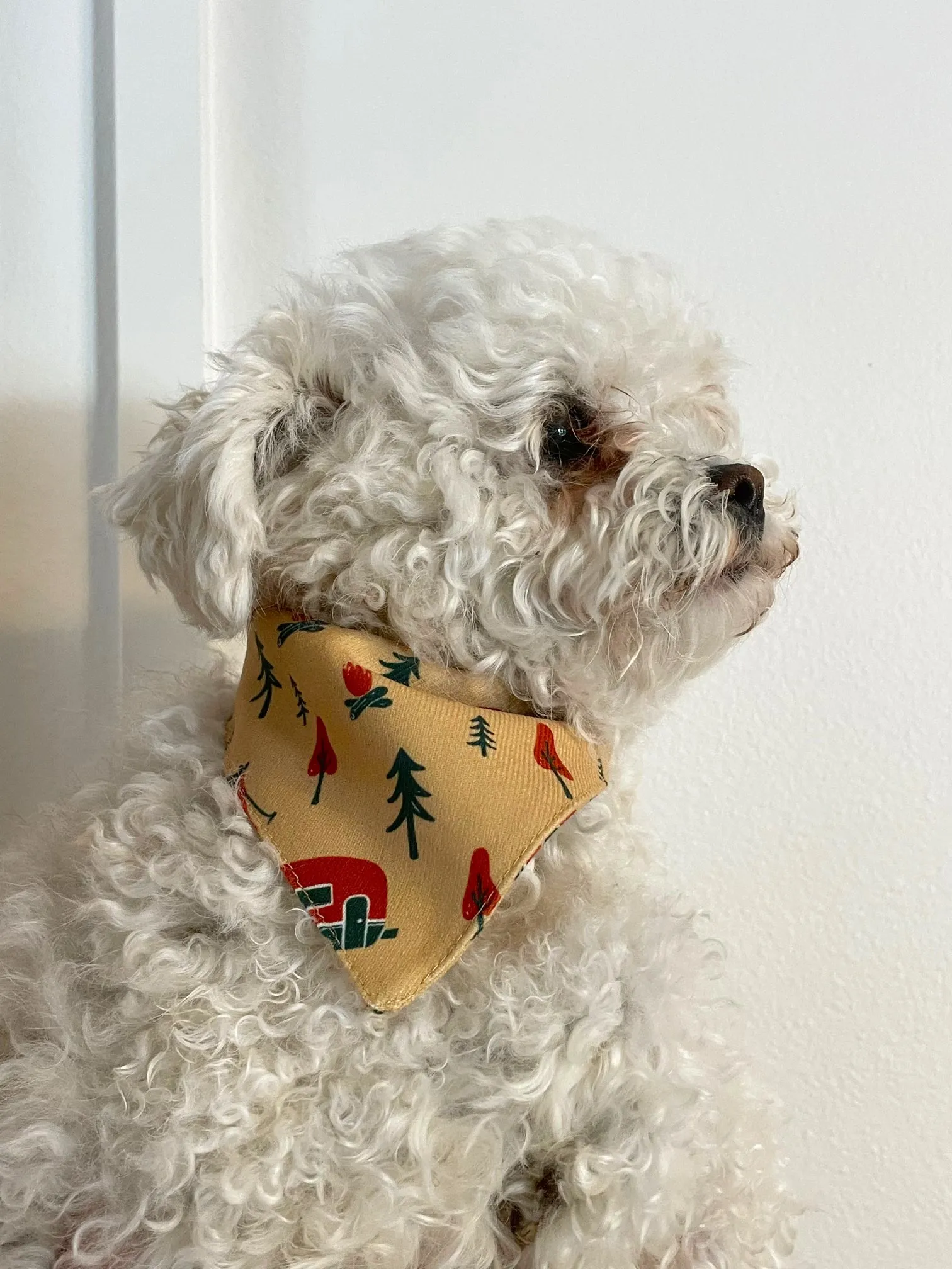 Trailblazer Pet Bandana   Scrunchie