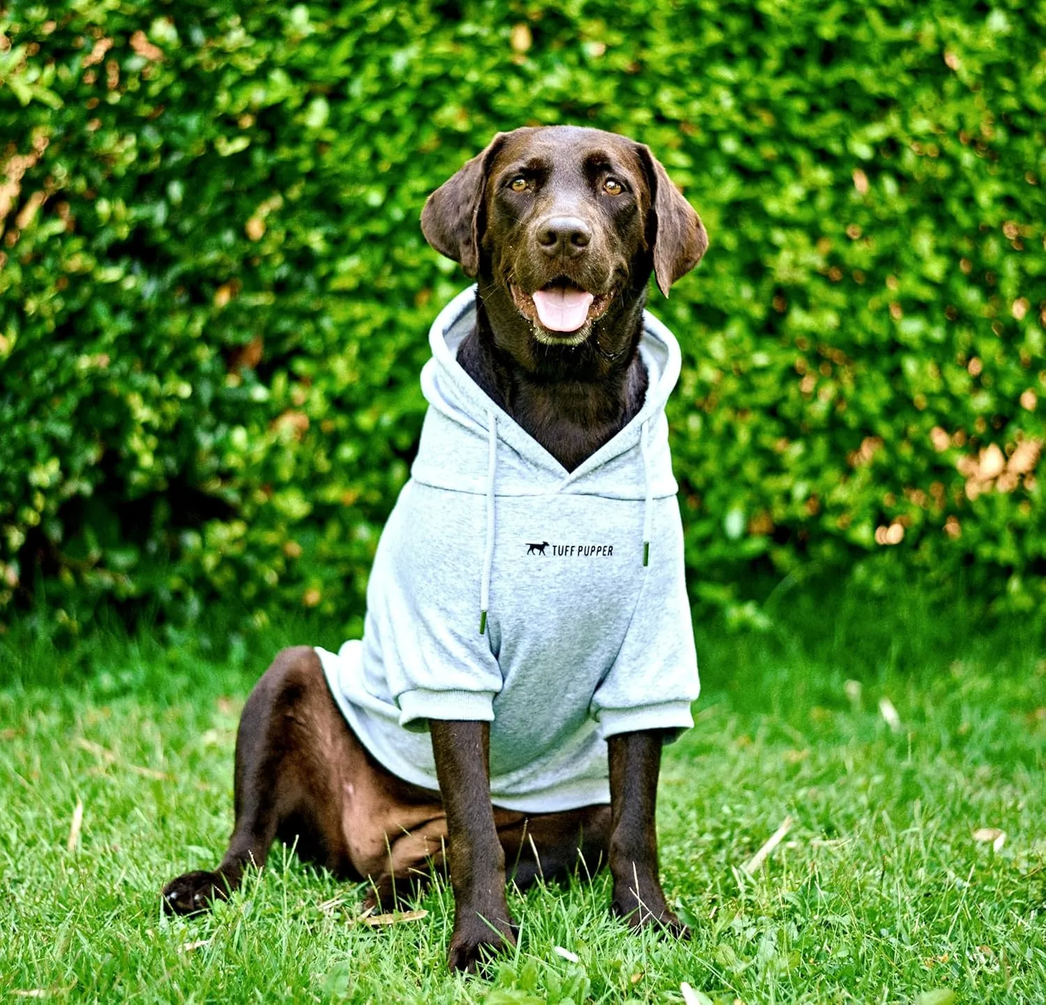 Tuff Pupper Dog Hoodie | Premium Quality 100% Organic Cotton | Ultra Soft Interior for Superior Comfort | Elastic Cuffs & Drawstring for Warmth | Stretch Fit Suitable for All Breeds (Gray, 4XL)