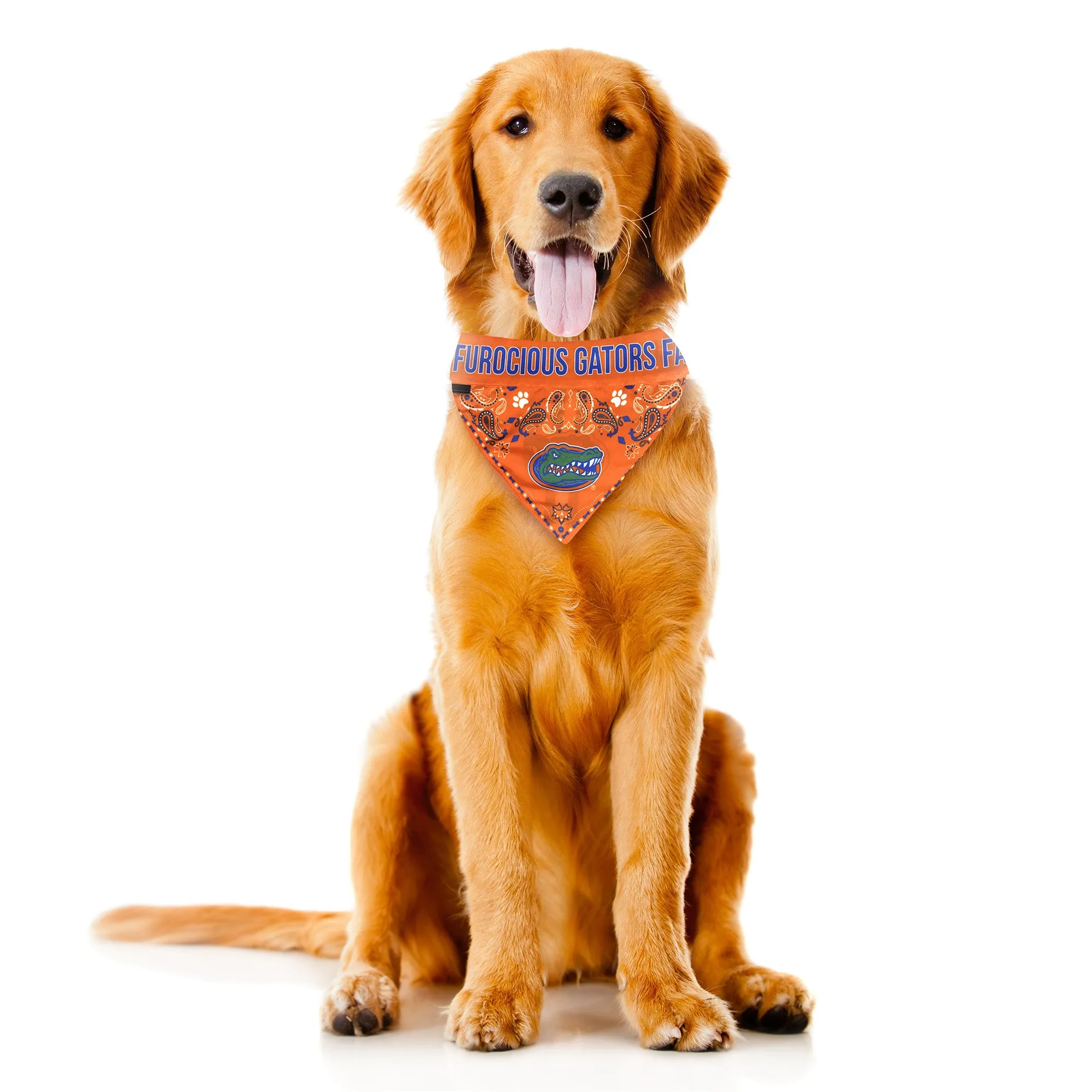 University of Florida Pet Bandana