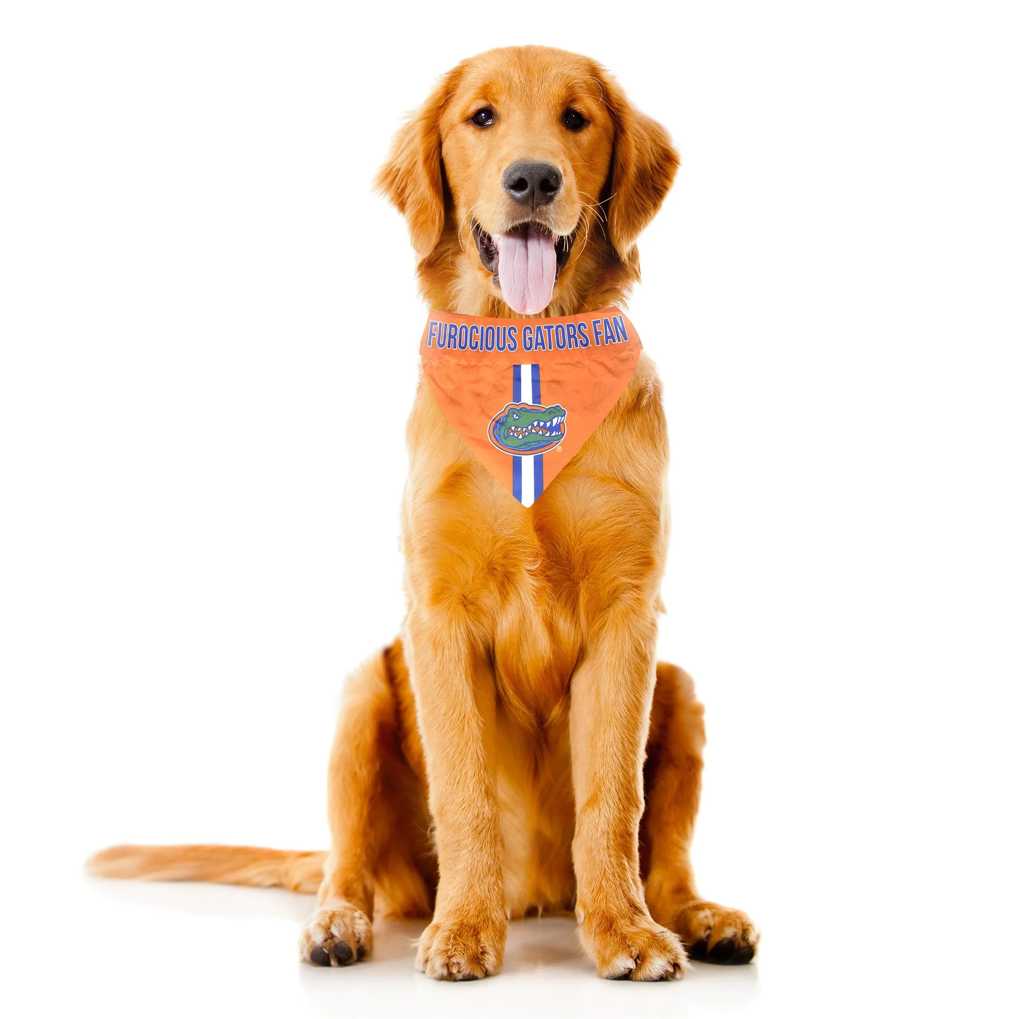 University of Florida Pet Bandana