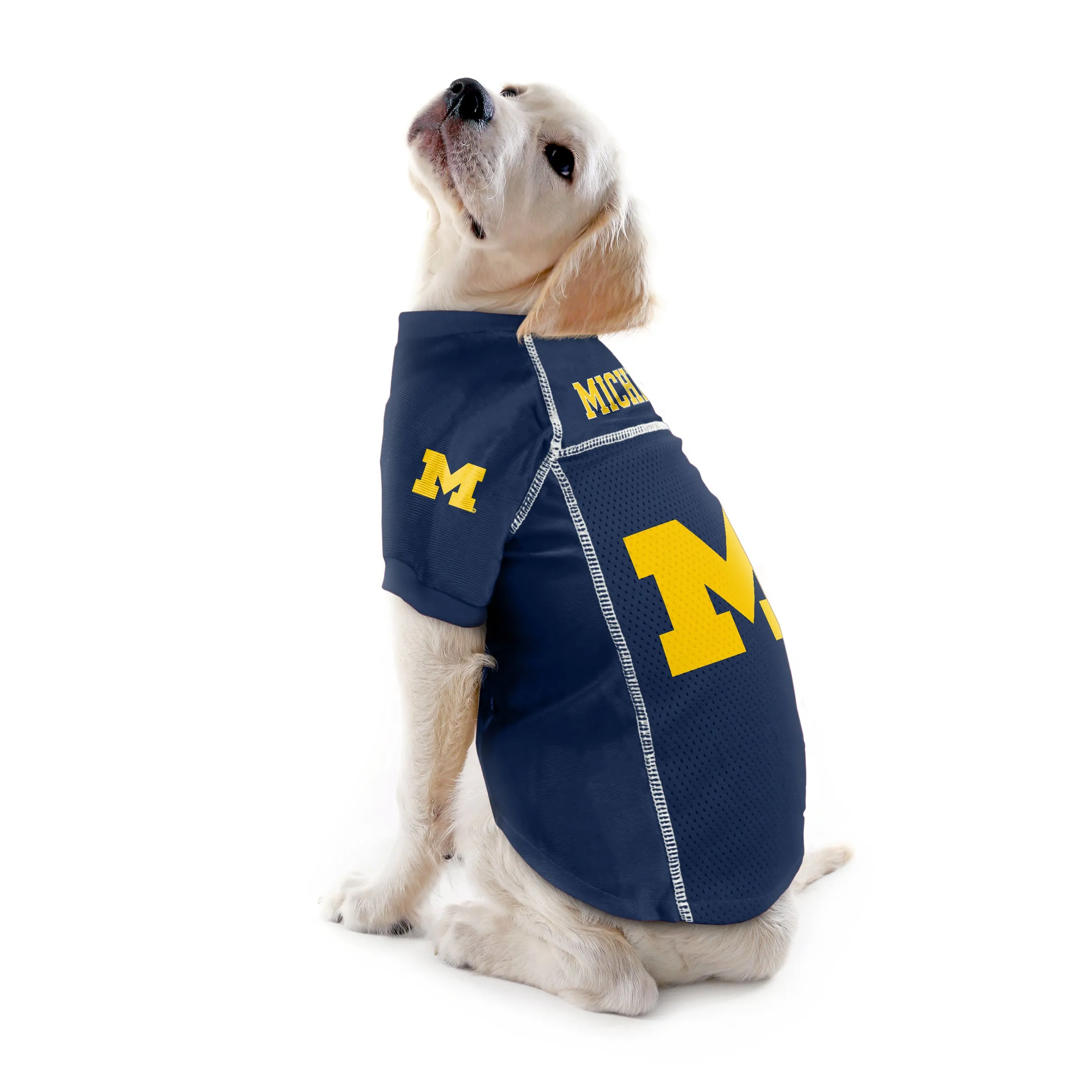 University of Michigan Pet Jersey