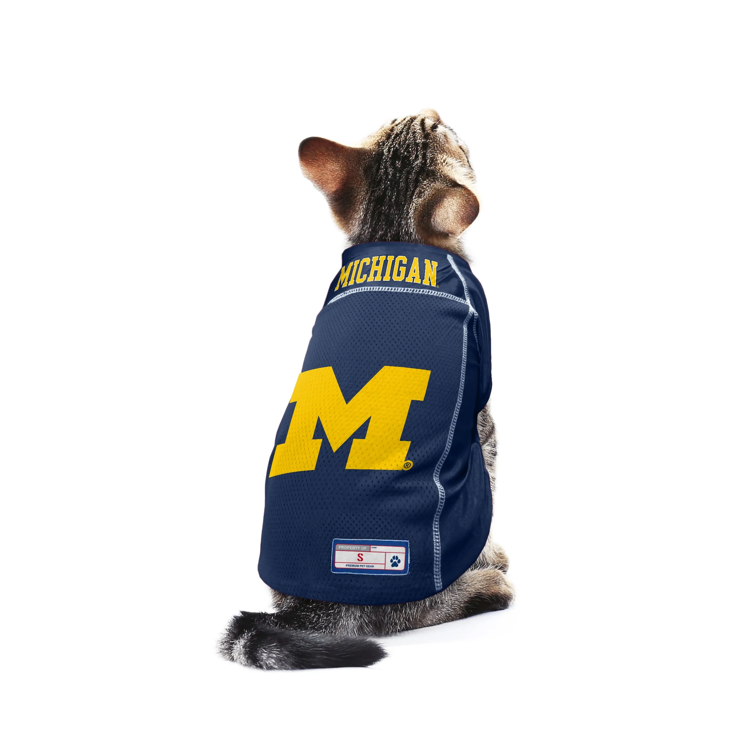 University of Michigan Pet Jersey