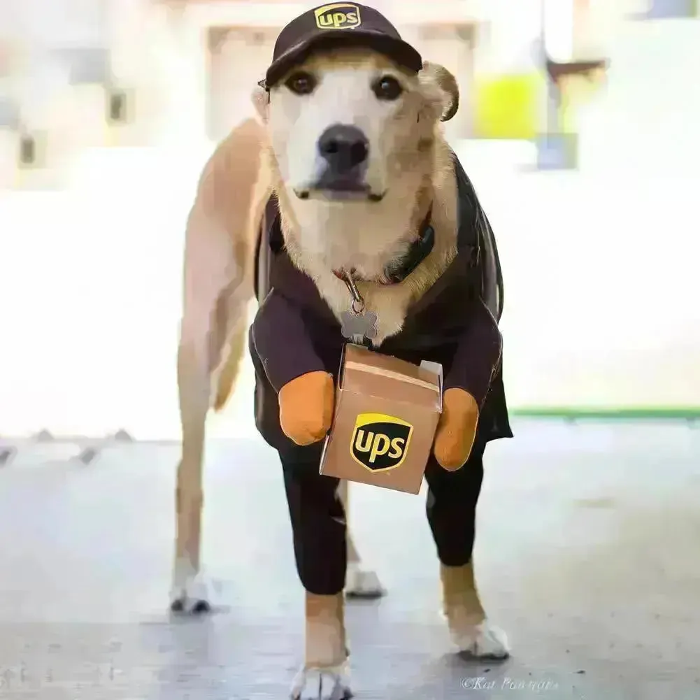 UPS Courrier Costume