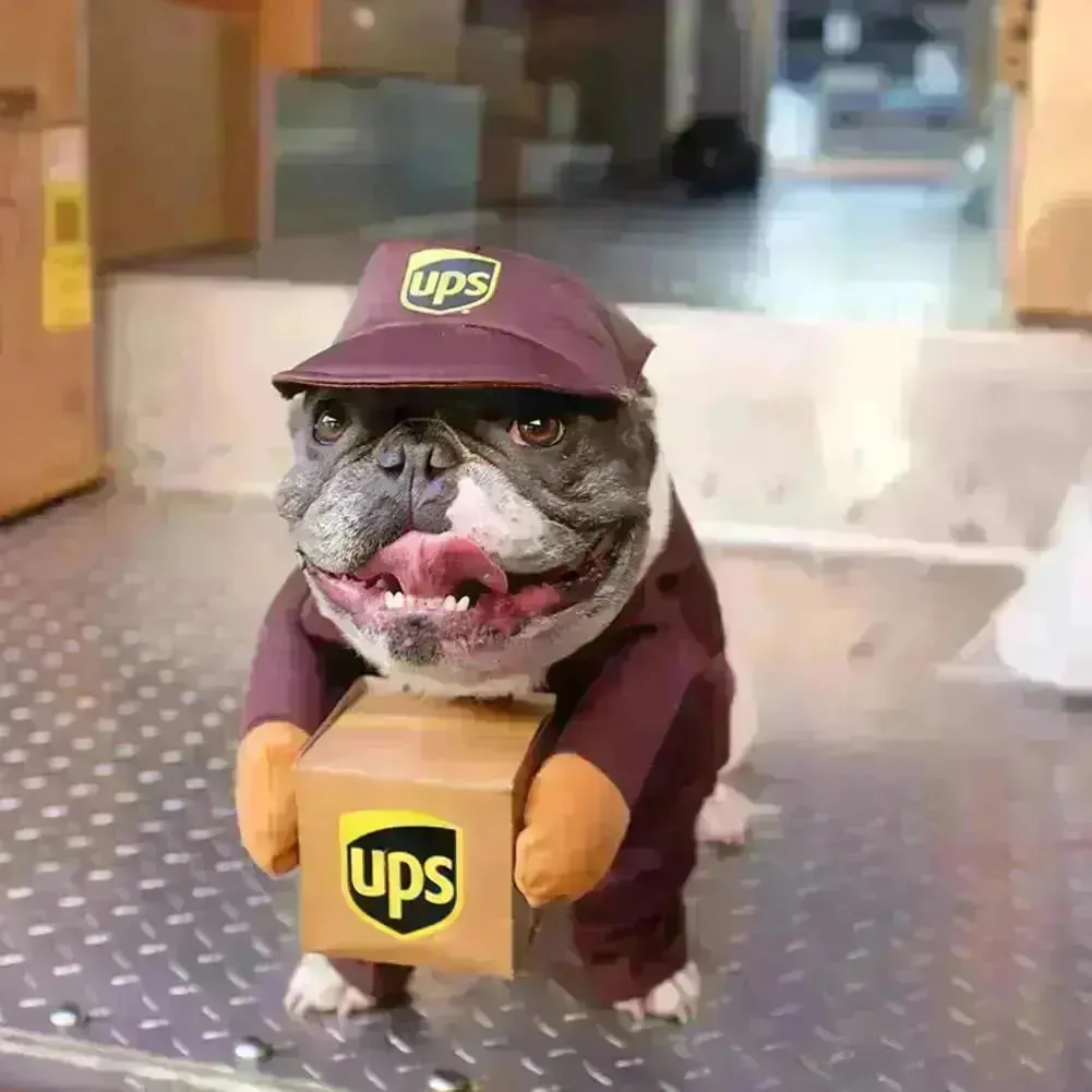 UPS Courrier Costume