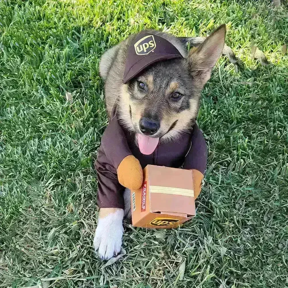 UPS Courrier Costume
