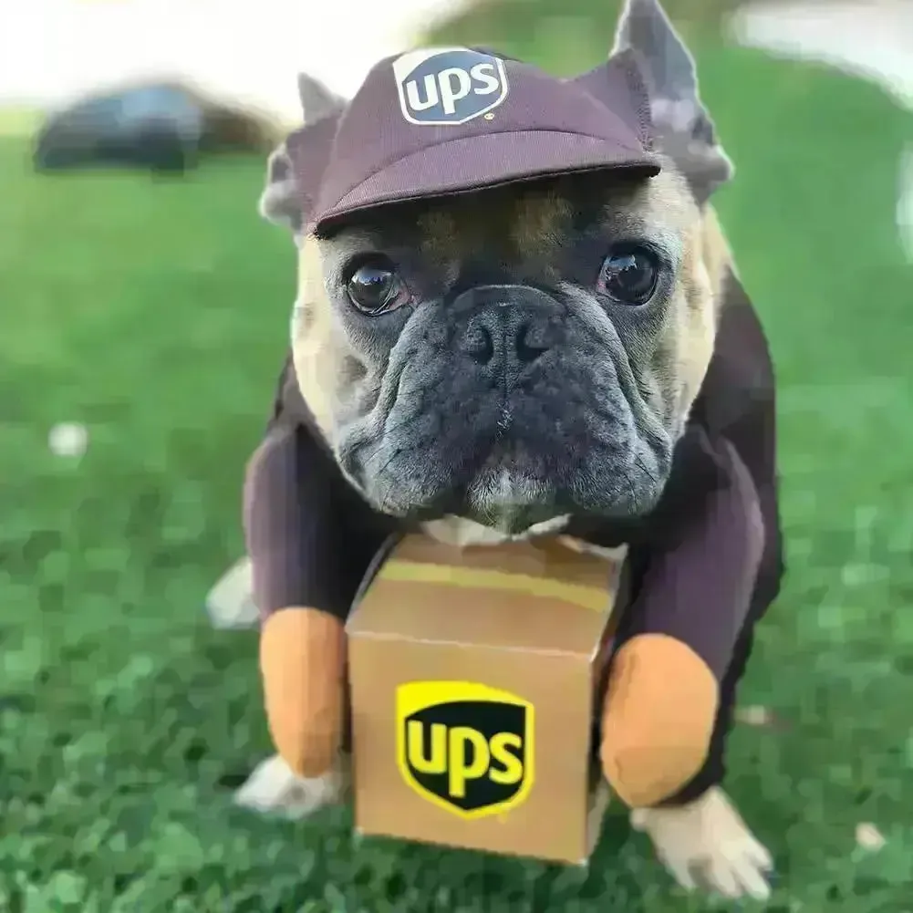 UPS Courrier Costume
