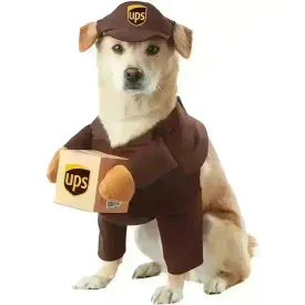 UPS Courrier Costume