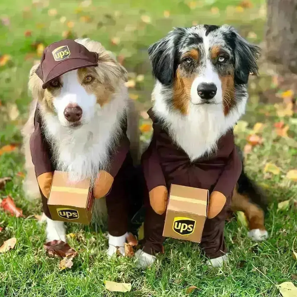 UPS Courrier Costume